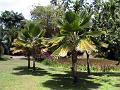 28 - Jardin des eaux 023